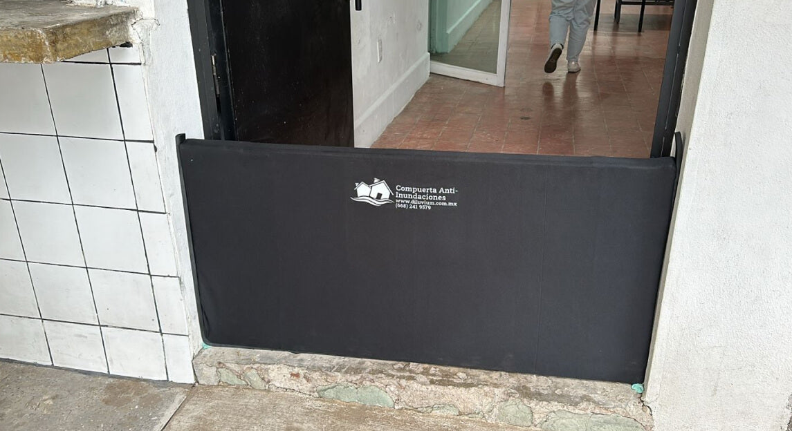 Frame_735.jpg
